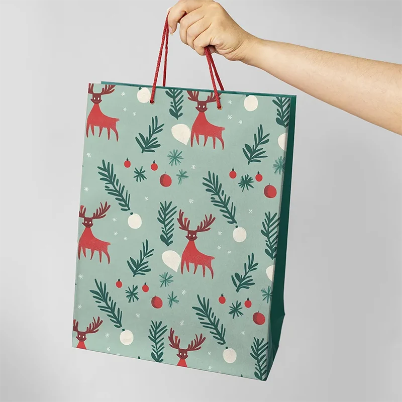 Christmas Party Bag